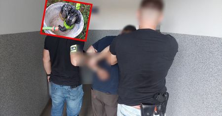 Błyskawiczne działania służb. "To nie były puste slogany"