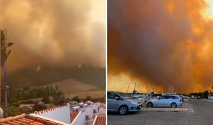 Fala pożarów na Sardynii. "Ślady podpaleń"