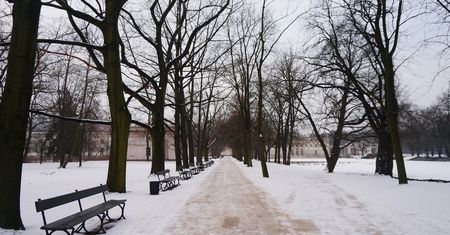 Wraca zima. Śnieg w Polsce. Od wtorku załamanie pogody