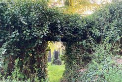 Bielsko-Biała. Dwa nowe ogrody. Jeden, Tajemniczy, na terenie cmentarza żydowskiego