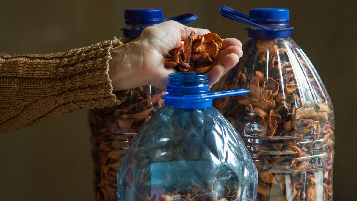 Polacy się nimi zajadają. Rajski owoc nie ma sobie równych