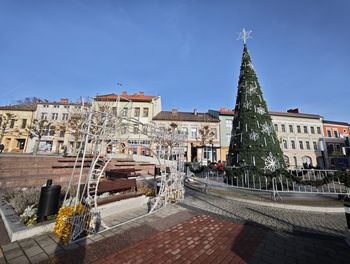 Chrzanów: Burmistrz będzie rozdawał choinki. Świętowanie już 6 grudnia