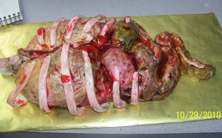 8 najbardziej obrzydliwych anatomicznych tortów [+18] 8