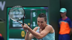WTA Florianopolis: udane otwarcie Jeleny Janković, Teliana Pereira nie obroni tytułu