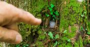 Geocaching. Świetny sposób na odkrywanie nowych miejsc!