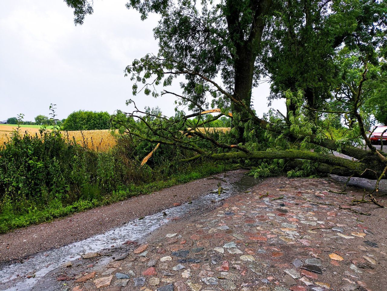 Burze nad Polską. Straż pożarna podała bilans interwencji