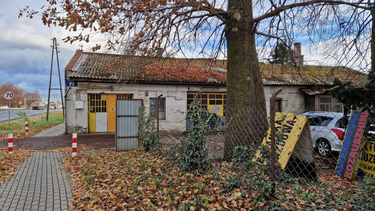 Podwarszawska wieś Mory