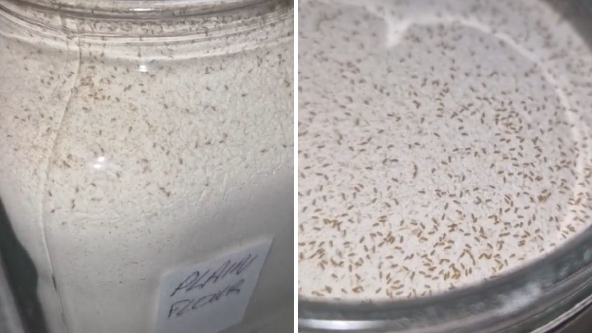 Pewna tiktokerka w swojej mące znalazła "gości na gapę"