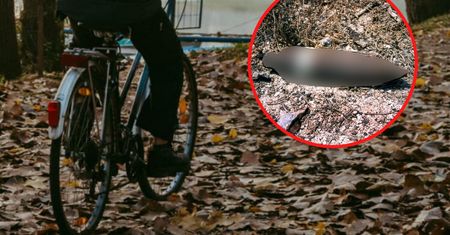 Jechał spokojnie rowerem, gdy nagle go zobaczył. Szybko wezwał policję