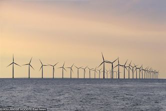 Ogromny tort do podziału dla polskich firm. PiS szykuje program dotyczący energetyki wiatrowej