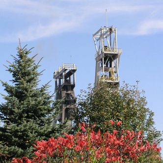 Bogdanka spodziewa się jednocyfrowego spadku cen węgla