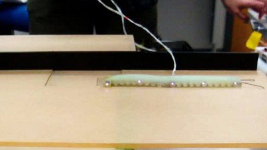 Robogąsienica prawie jak żywa [wideo] 1