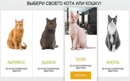 Kot do kredytu mieszkaniowego. Takie rzeczy tylko w Rosji