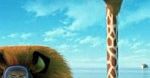 ''Madagaskar 3'': Zobacz pierwszy polski zwiastun [wideo]