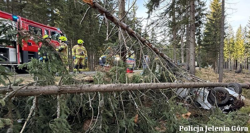 Ściął dwa świerki, auto dachowało