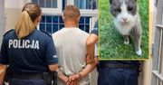 Wyszedł ze sklepu i z impetem kopnął kota. Zwierzę częściowo straciło wzrok