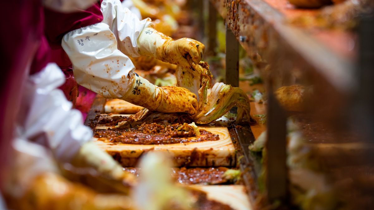 Fabryka kimchi powstanie w Krakowie 