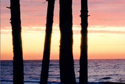 Nagroda Warszawskiej Premiery Literackiej