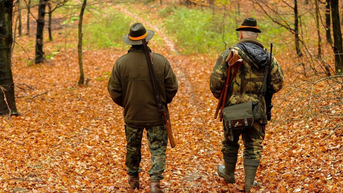 Myśliwi mają pomóc rządowo w walce z ASF. Nie wszyscy dadzą sie jednak skusić pieniędzmi