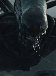 Disney może wskrzesić "Obcego". Czy czeka nas serial o ksenomorfach?
