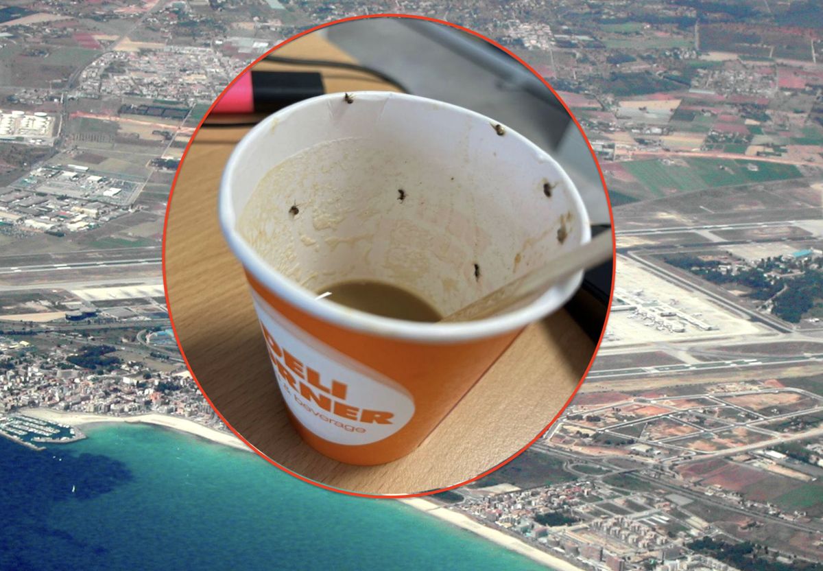 Na lotnisku na Majorce doszło do nietypowego zdarzeni. Po kawie, w której pływały owady 21-letnia stewardessa doznała wstrząsu anafilaktycznego