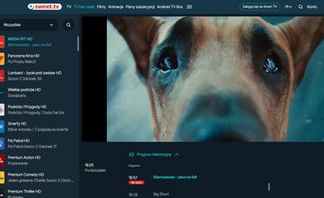 Nowe kanały filmowe dostępne za darmo w Polsce