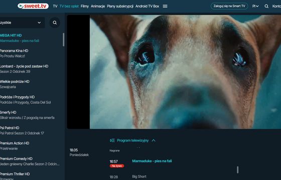 Nowe kanały filmowe dostępne za darmo w Polsce