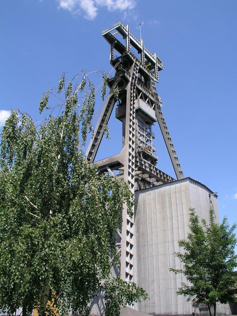 Trigon DM podjął decyzję ws. akcji Bogdanki i JSW