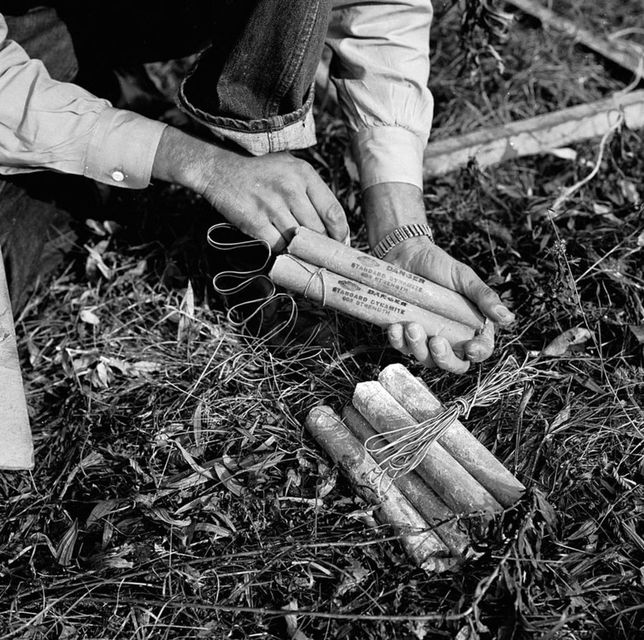 Wybuchowy milioner historia Alfreda Nobla WP Facet