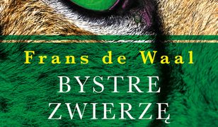 Bystre zwierzę. Czy jesteśmy dość mądrzy, aby zrozumieć bystrość zwierząt?