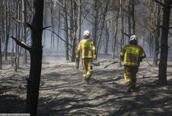 Pożary lasów kosztują krocie. Oszacowano tegoroczne straty