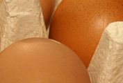 Nie tylko jajka z salmonellą. Oto skażone polskie produkty, które trafiły na europejski rynek