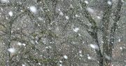 Ponań: We wtorek spadnie śnieg?