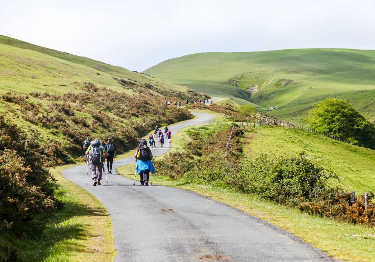 Wieluńska Pielgrzymka do Częstochowy na przestrzeni lat. 9 sierpnia ruszą zapisy na kolejną edycję