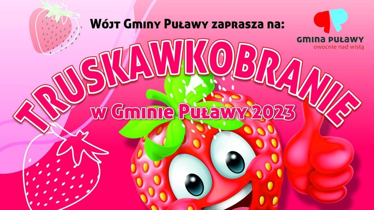 Truskawkobranie w Gminie Puławy 2023 - Góra Puławska