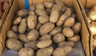 Ceny ziemniaków. Ile zapłacimy na Broniszach?