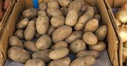 Ceny ziemniaków. Ile zapłacimy na Broniszach?