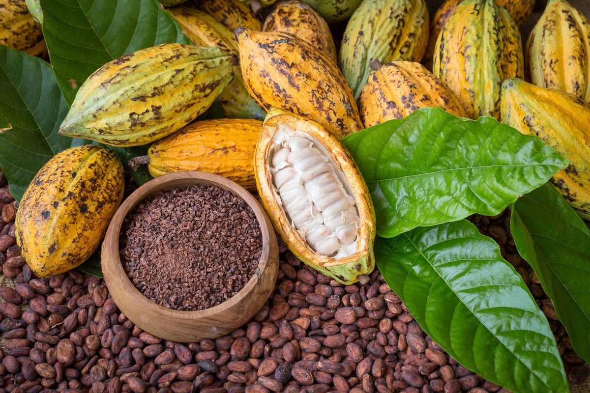 Kakao jest bogate w antyoksydanty