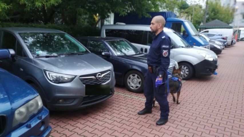 Zdjęcie z akcji policji w Warszawie