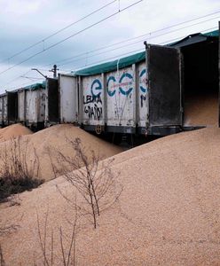 Fiński generał o Polsce. Reaguje na incydent