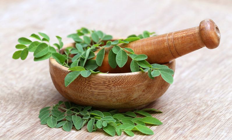 Moringa olejodalna jest rośliną posiadająca niezwykłe właściwości prozdrowotne i lecznicze. Jest bogatym źródłem witaminy A, witaminy C, białka i żelaza.