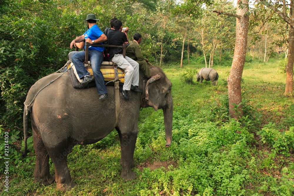 Przejażdżki na słoniu to nadal bardzo popularna atrakcja w Azji
