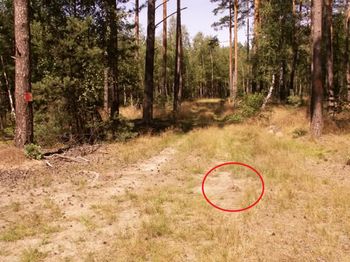 Leśnik aż się zagotował. "Widzicie to na zdjęciu?"