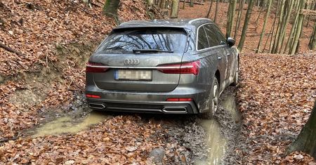 Jechał na rowerze i znalazł w lesie audi. "To zdarza się często"
