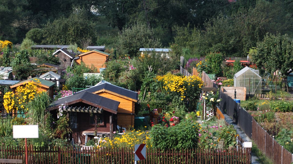 Imprezy na ogródkach działkowych bywają wręcz legendarne.