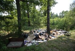Ta ustawa miała zlikwidować widok worków śmieci w lasach. Problem trwa