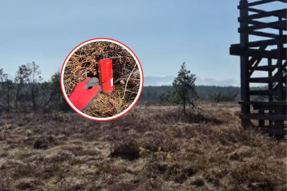 Leżała w pełnym słońcu. Leśnicy nie wytrzymali. "Ludzka głupota"