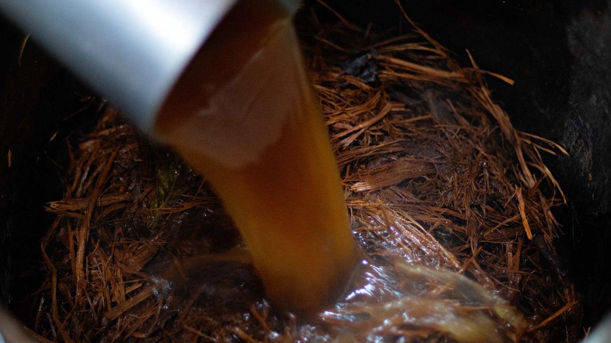 Szanta jest niezawodna przy przeziębieniu