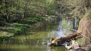 Susza hydrologiczna w regionie. IMGW ostrzega przed niskimi przepływami wody