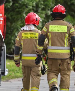 Pożar busa na Trasie Kaszubskiej. Przewoził 200 akumulatorów